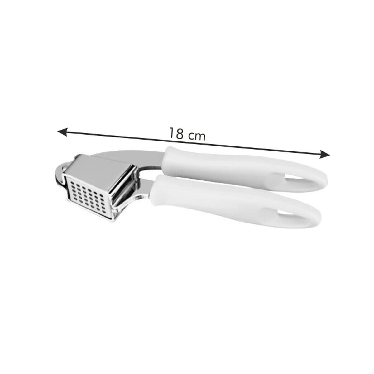 Garlic Press Tescoma Presto Stainless steel-1