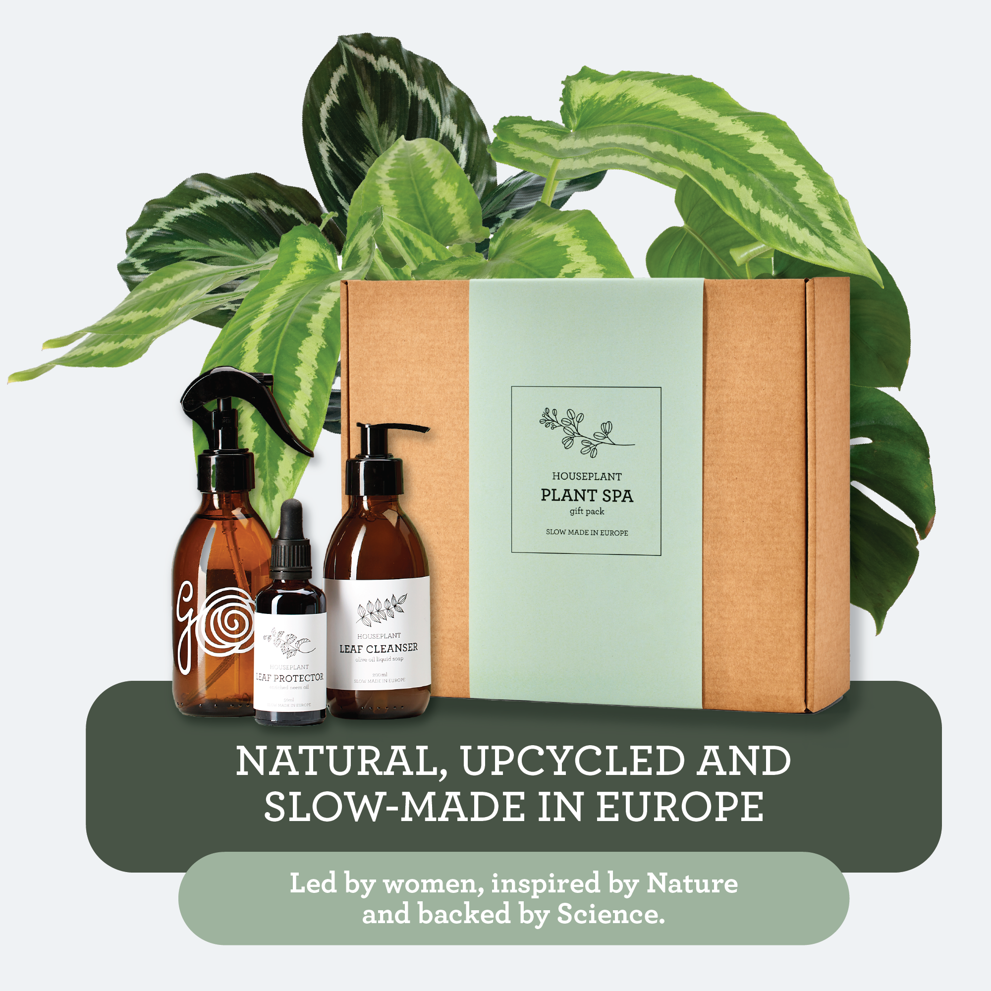 Generosa Plant Spa Gift Set - Plant Protection and Cleaning | Neem oil 50ml and Plant Soap 200ml Kit | Combating Plant Pests | Eco-friendly Gift | Gift for Plant Lovers-3
