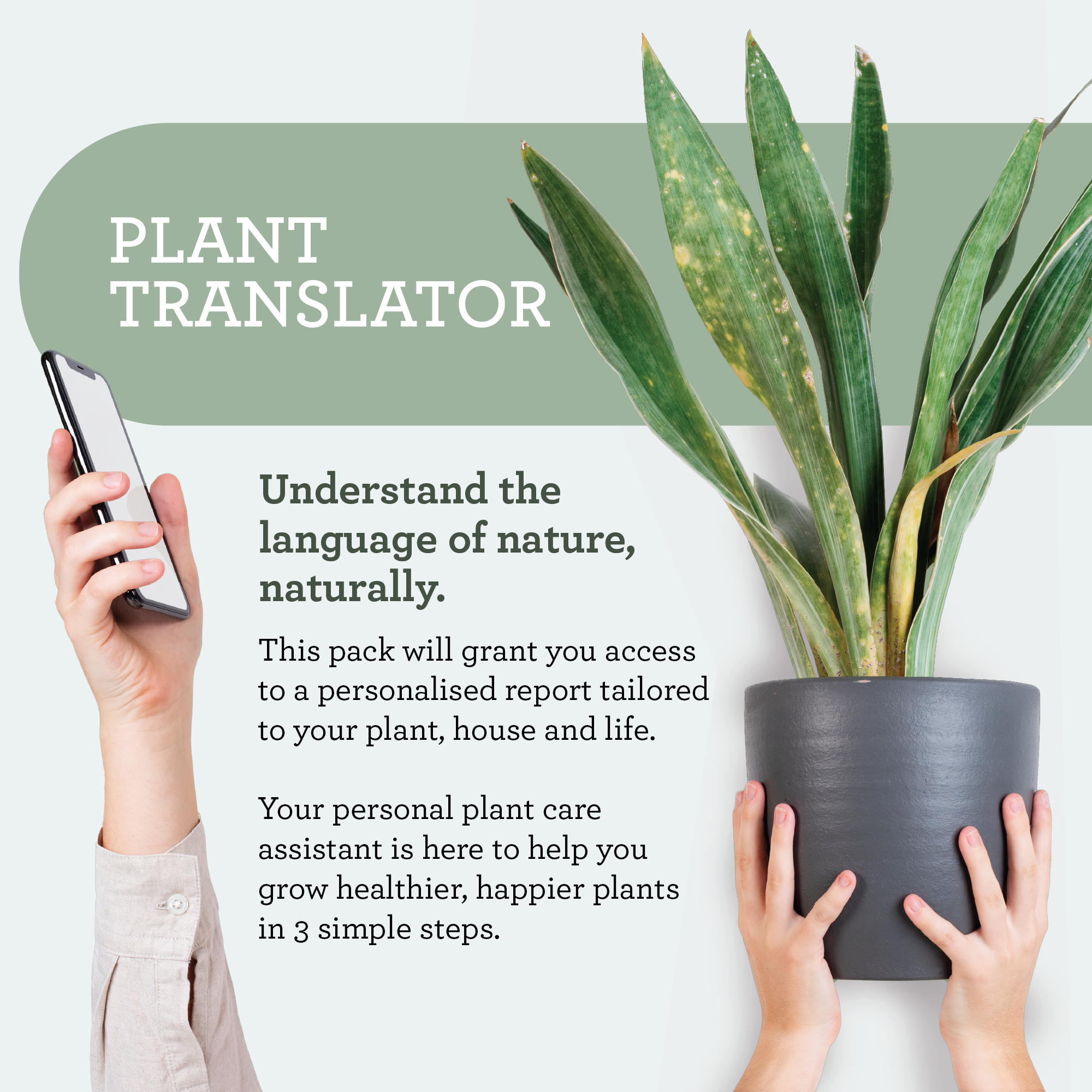 Generosa Plant Spa Gift Set - Plant Protection and Cleaning | Neem oil 50ml and Plant Soap 200ml Kit | Combating Plant Pests | Eco-friendly Gift | Gift for Plant Lovers-4