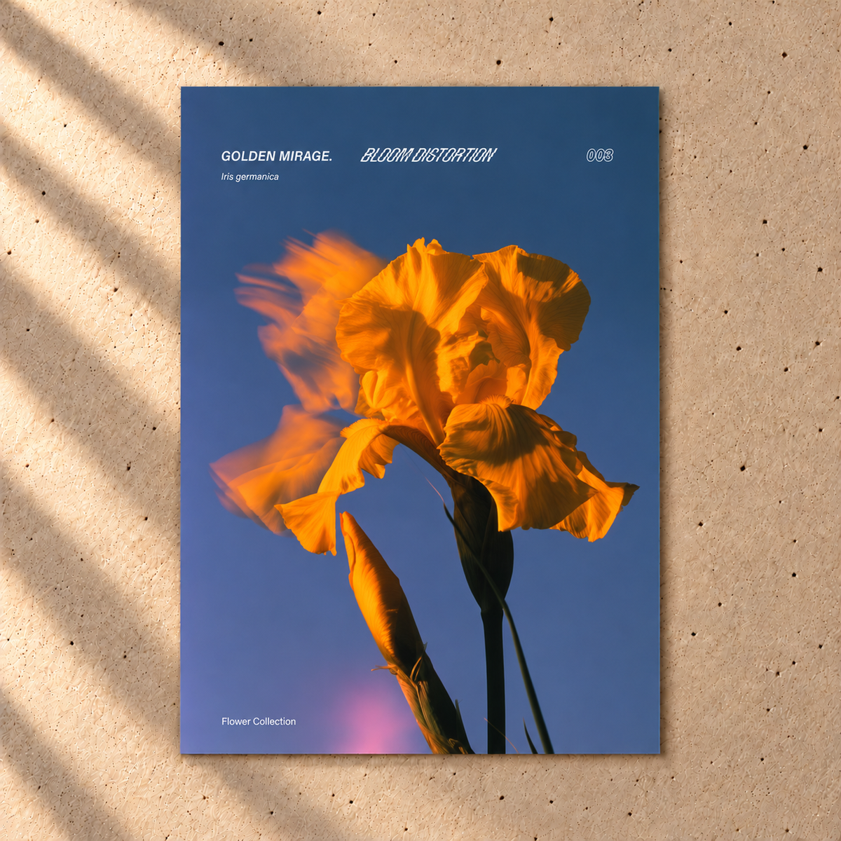 Golden Mirage Poster – Goldgelbe Iris auf Blau | Blumenposter